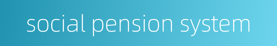 social pension system的同义词
