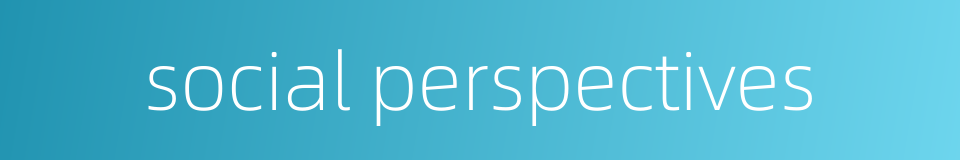 social perspectives的同义词
