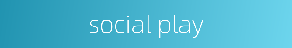 social play的同义词