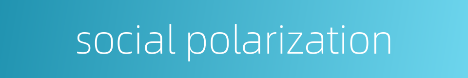 social polarization的同义词