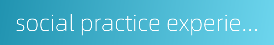 social practice experience的同义词