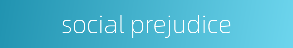 social prejudice的同义词