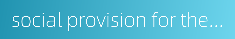 social provision for the aged的同义词