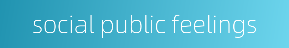 social public feelings的同义词