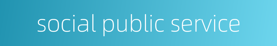 social public service的同义词