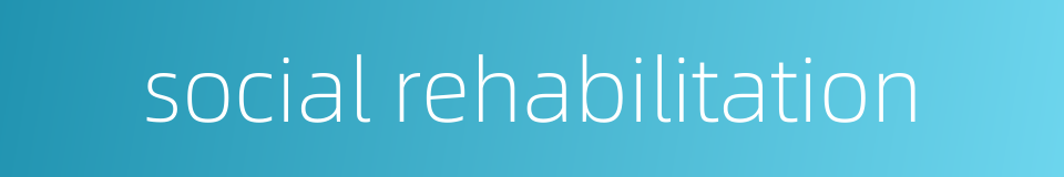social rehabilitation的同义词