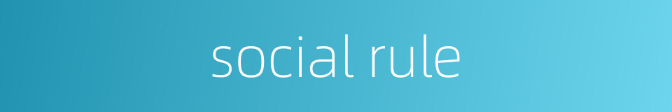 social rule的同义词