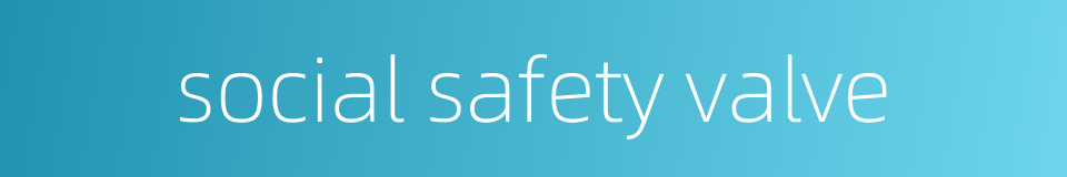 social safety valve的同义词