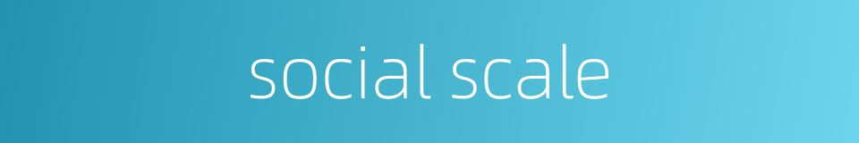 social scale的同义词