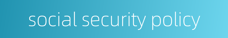 social security policy的同义词