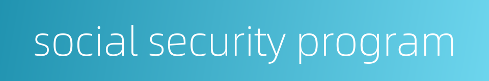 social security program的同义词