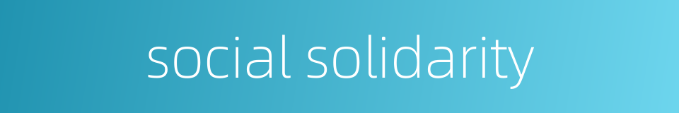 social solidarity的同义词