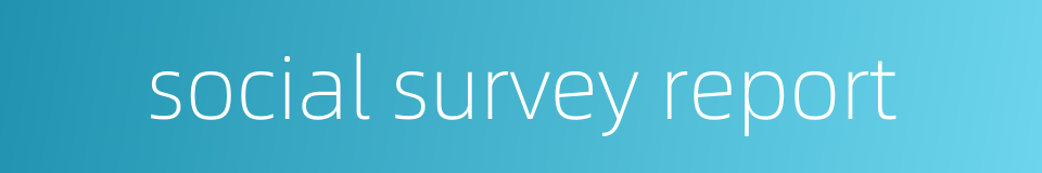 social survey report的同义词