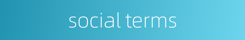 social terms的同义词