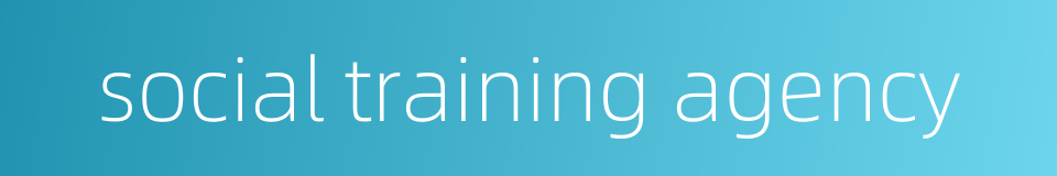 social training agency的同义词