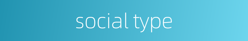 social type的同义词