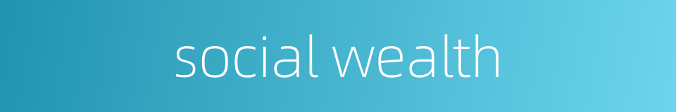 social wealth的同义词