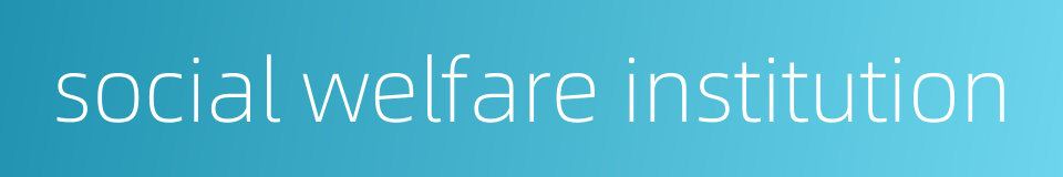social welfare institution的同义词