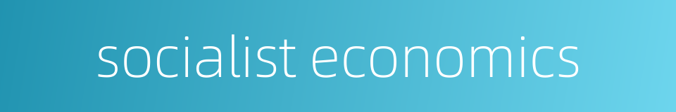 socialist economics的同义词