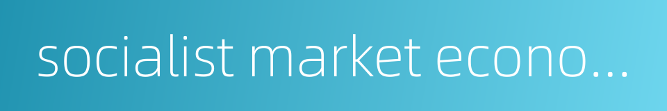 socialist market economy system的同义词