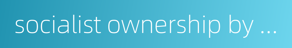 socialist ownership by the whole people的同义词