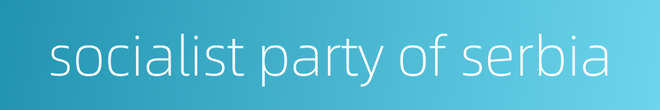 socialist party of serbia的同义词