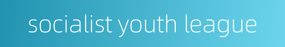socialist youth league的同义词