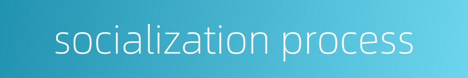 socialization process的同义词