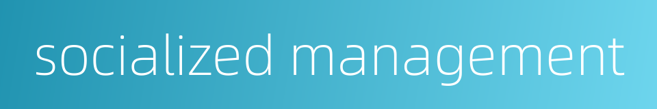 socialized management的同义词