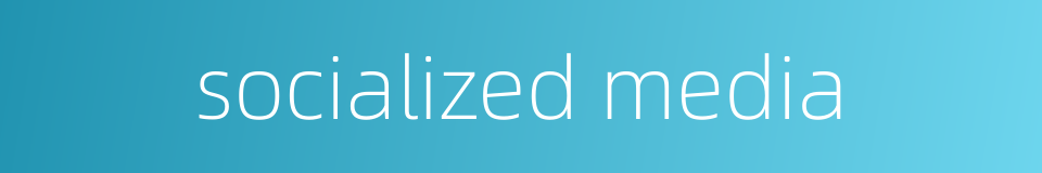 socialized media的同义词