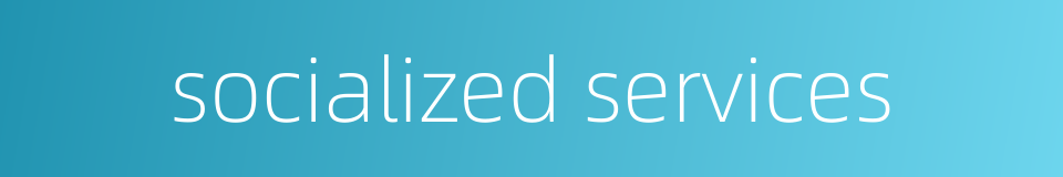 socialized services的同义词