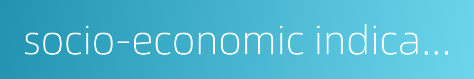 socio-economic indicator的同义词