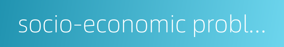 socio-economic problem的同义词