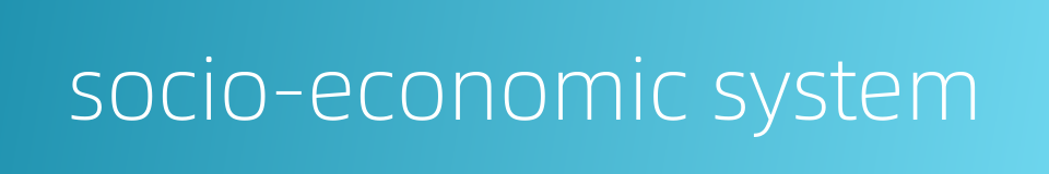 socio-economic system的同义词