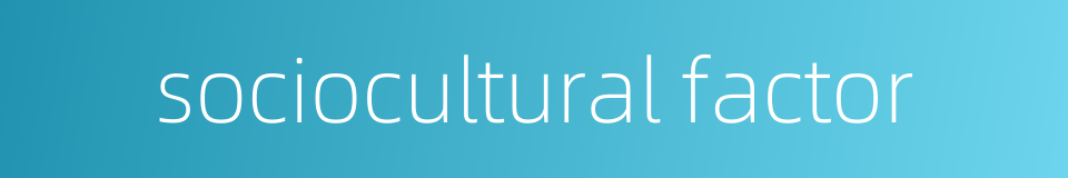 sociocultural factor的同义词