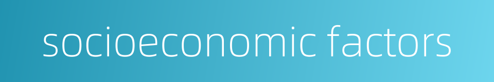 socioeconomic factors的同义词