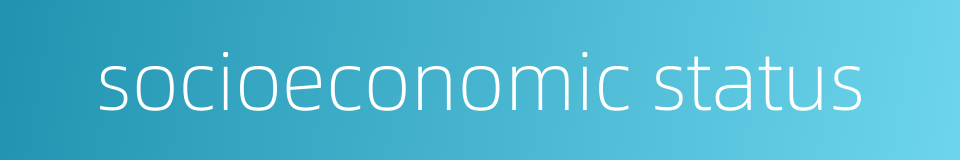 socioeconomic status的同义词