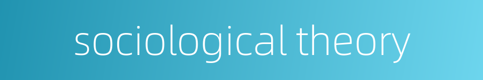 sociological theory的同义词