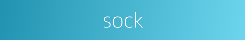 sock的同义词