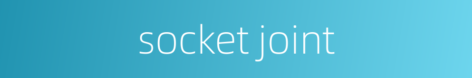 socket joint的同义词