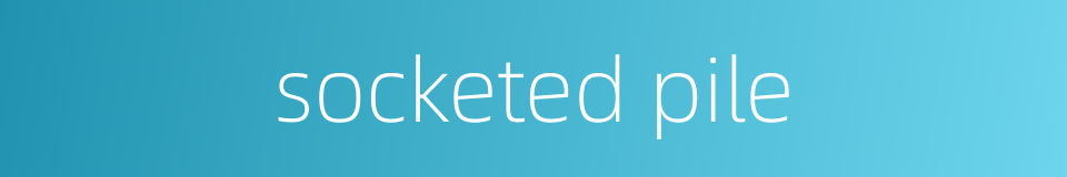 socketed pile的同义词