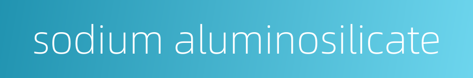 sodium aluminosilicate的同义词