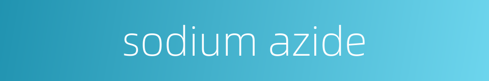 sodium azide的同义词