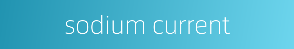 sodium current的同义词