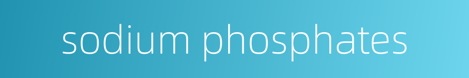 sodium phosphates的同义词