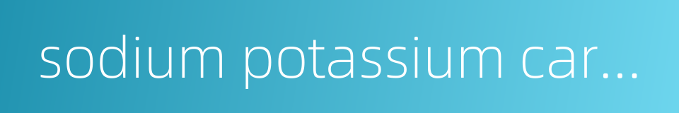 sodium potassium carbonate的同义词