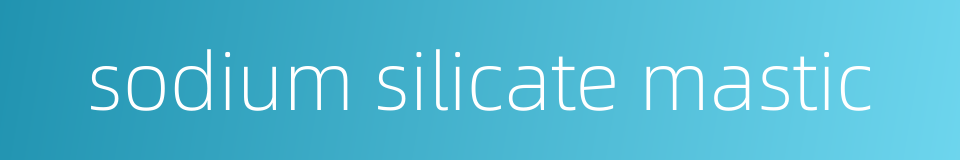 sodium silicate mastic的同义词