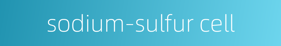 sodium-sulfur cell的同义词