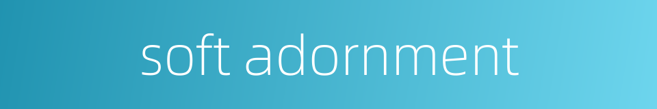 soft adornment的同义词