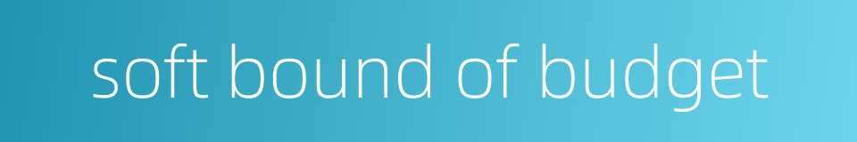 soft bound of budget的同义词